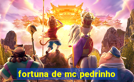 fortuna de mc pedrinho